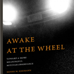 Awake at the Wheel